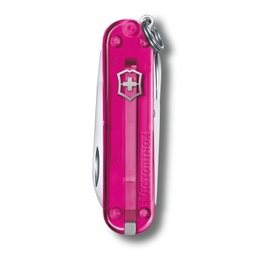 Logotrade Logogeschenke das Foto: Taschenmesser Classic SD transparent Victorinox