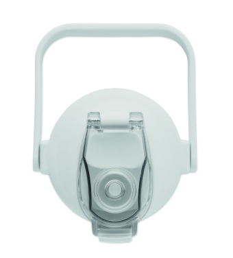 Logotrade Geschäftsgeschenke das Foto: RPET-Trinkflasche 2000ml