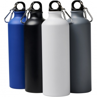 Logotrade promotional item image of: Oregon 770 ml matte water bottle with carabiner