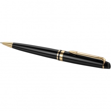 Logotrade promotional giveaway image of: Waterman Expert ballpoint pen