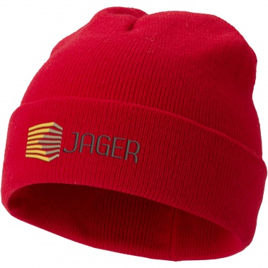 Logo trade promotional item photo of: Irwin beanie