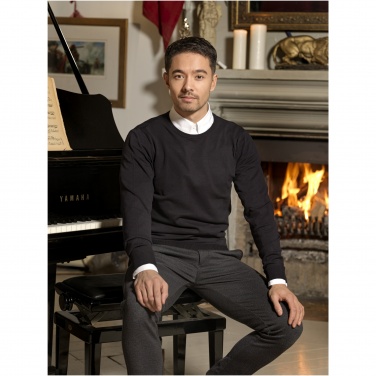 Logotrade promotional merchandise photo of: Merrit men's crewneck pullover