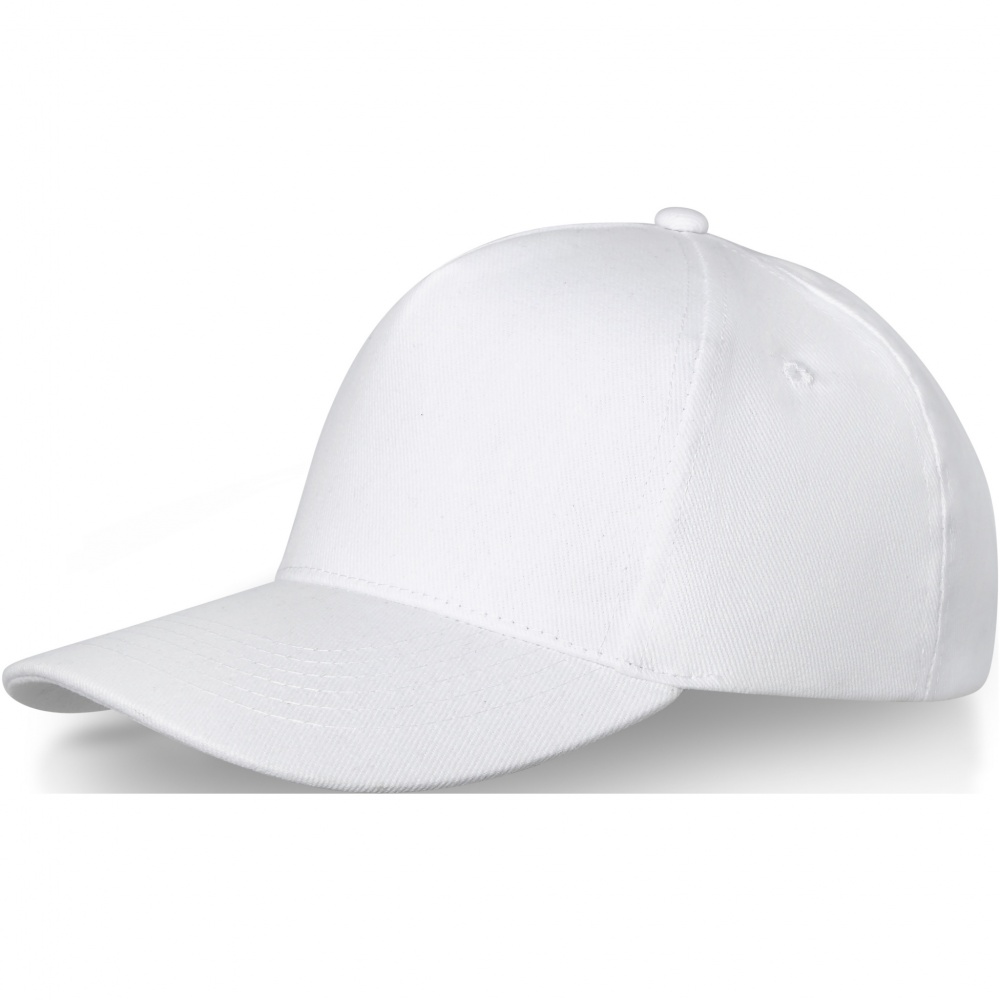 Logo trade promotional merchandise image of: Doyle 5 panel cap