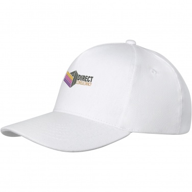 Logotrade promotional giveaway image of: Doyle 5 panel cap