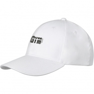 Logo trade business gift photo of: Davis 6 panel cap