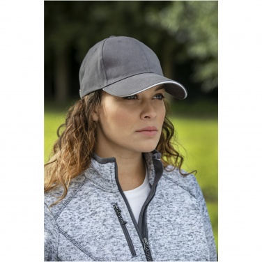 Logotrade corporate gifts photo of: Darton 6 panel sandwich cap