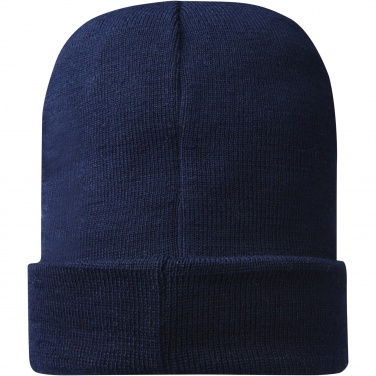 Logotrade promotional product image of: Hale Polylana® beanie
