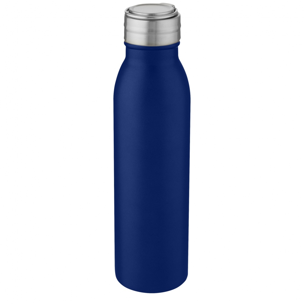 Logotrade promotional gift image of: Harper 700 ml stainless steel water bottle with metal loop