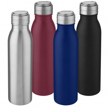 Logo trade advertising product photo of: Harper 700 ml stainless steel water bottle with metal loop