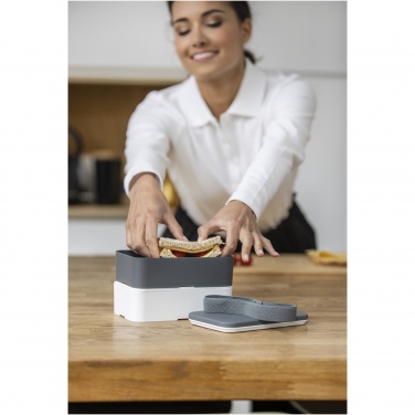 Logotrade promotional merchandise photo of: MIYO double layer lunch box