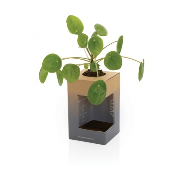 Logotrade promotional items photo of: Avira Alya RCS Re-steel tumbler 300 ml