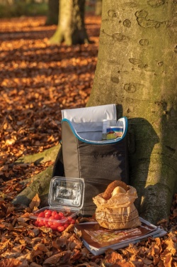 Logotrade promotional gifts photo of: Explorer outdoor cooler backpack