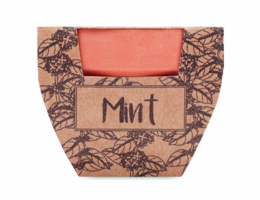 Logo trade advertising product photo of: Terracotta pot mint seeds