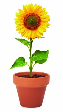 Logotrade corporate gift image of: Terracotta pot 'sunflower'