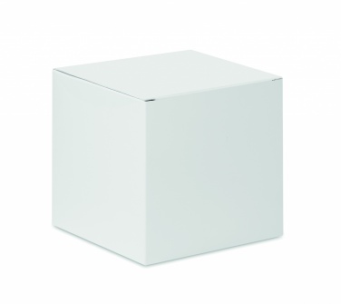 Logo trade promotional gifts image of: Sublimation gift box for mugs