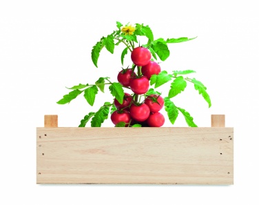 Logotrade promotional giveaway image of: Tomato kit in wooden crate
