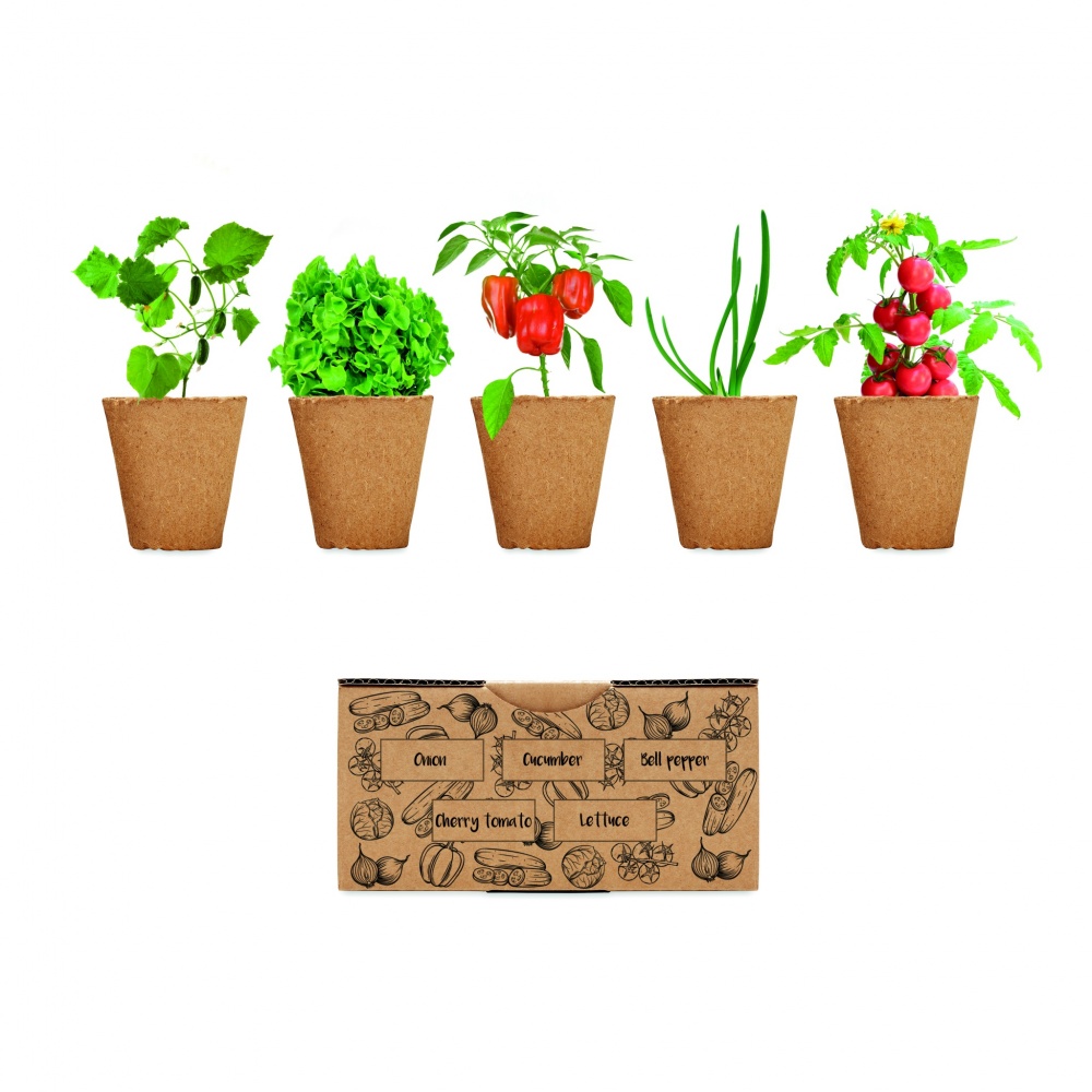 Logotrade promotional products photo of: Salad growing kit
