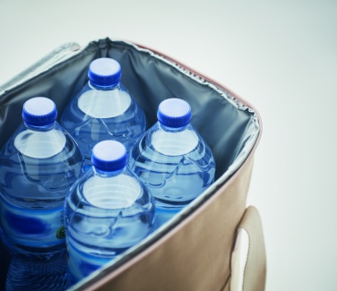 Logotrade promotional giveaway image of: Large cooler bag canvas 450gr/m