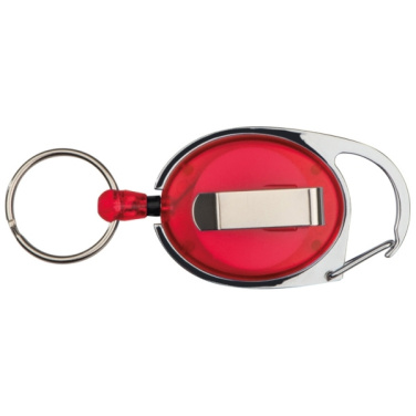 Logo trade promotional items image of: Ski-Pass with Carabiner Keyring EMPLOYEE