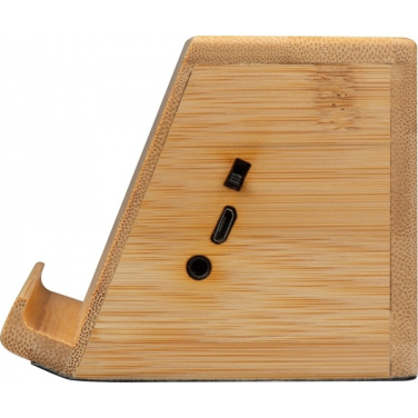 Logo trade promotional items image of: Induction loudspeaker NUREMBERG