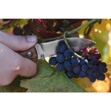 Logotrade corporate gifts photo of: Pocket knife JUNGLE Schwarzwolf