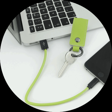 Logo trade promotional products image of: Keyring 59612900