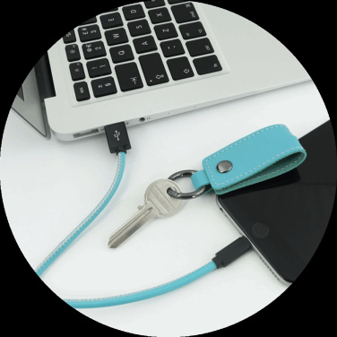 Logotrade promotional merchandise photo of: Keyring 59612900