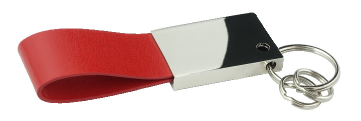 Logo trade business gift photo of: Keyring 909119