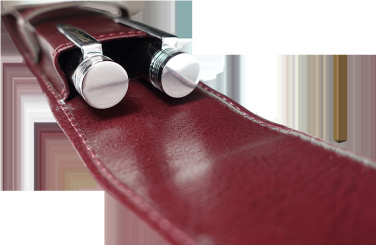 Logo trade advertising product photo of: Pen case 236019