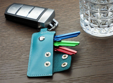 Logotrade promotional giveaway image of: Keyring 1276131