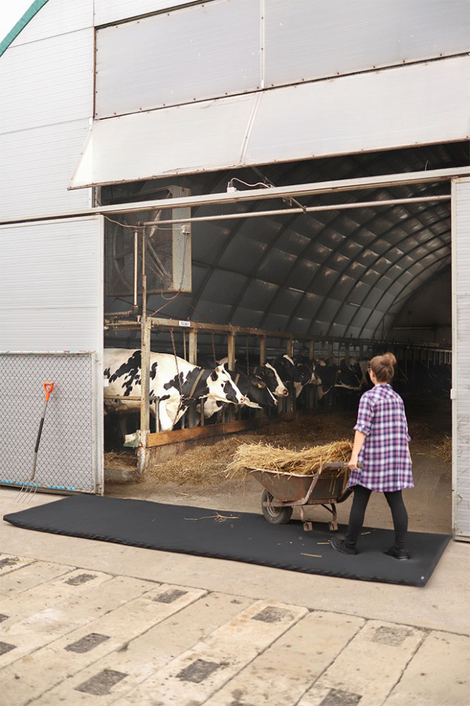 Logotrade business gifts photo of: Transit disinfection mat 120x600x4cm 1365087