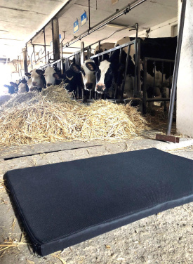 Logo trade promotional merchandise photo of: Disinfection mat 100x60x3cm 1372087