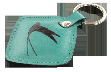 Logotrade promotional merchandise image of: Keyring 564131