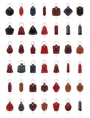 Logo trade business gift photo of: Keyring 178011