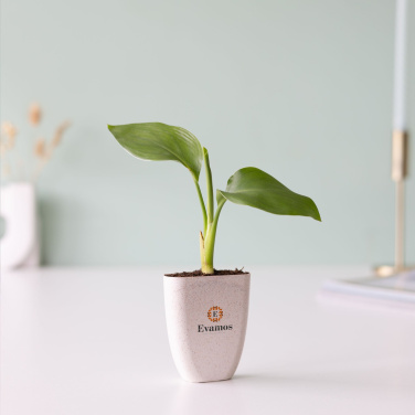 Logo trade promotional gift photo of: Treemore Letterbox Trees Bird of Paradise plant