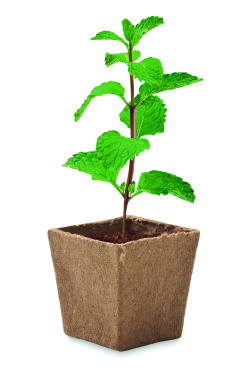 Logo trade promotional giveaway photo of: Mint seeds growing kit