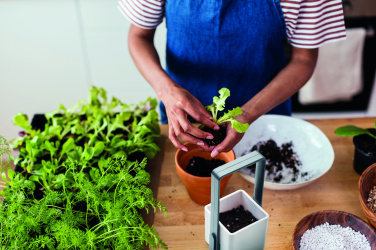 Logotrade promotional product image of: Indoor garden with LED light