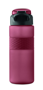 Logotrade promotional giveaway picture of: RPET drinking bottle 700ml