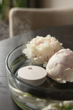 Logo trade promotional products picture of: Breevia RCS rplasic re-chargeable floating humidifier