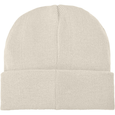 Logotrade promotional merchandise picture of: Boreas beanie with patch