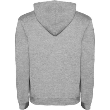 Logotrade promotional merchandise picture of: Urban men's hoodie