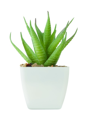 Logo trade advertising products image of: Mini artificial plant