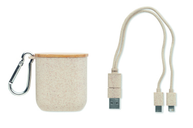 Logo trade promotional products image of: Cable set in case