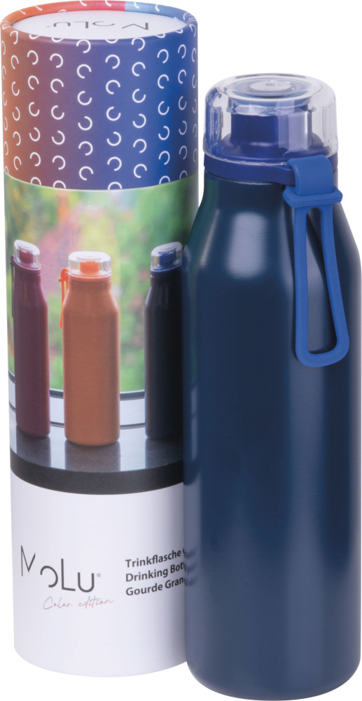 Logotrade advertising product picture of: Water bottle Grand Haven MoLu