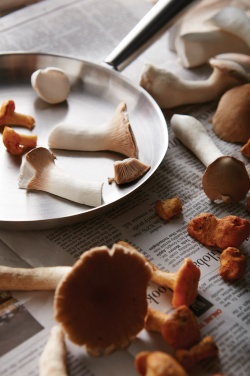 Logotrade reklaamtoote foto: VINGA Vici välipann