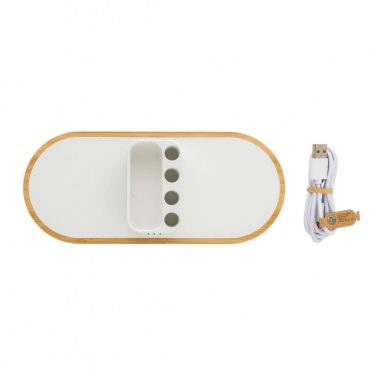 Logotrade ärikingituse foto: Ontario RCS rplastic 10W topeltjuhtmevaba