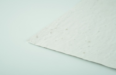 Logo trade meened foto: A5 metsalilleseemne paberileht