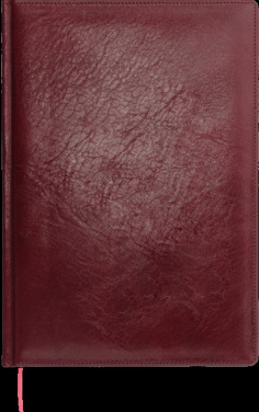 Logotrade ärikingi foto: Kalendermärkmik 645131