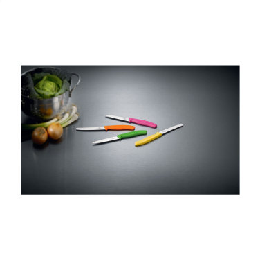 Logo trade reklaamkingitused foto: Victorinox Swiss Classic lauanuga