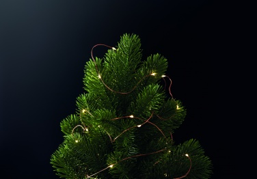 Logotrade logo dāvanas foto: LED pasaku gaismas virtene 5m